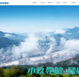 安特仪表集团有限公司,电力仪器仪表,地产开发,倪东方艺术博物馆,金融小额贷款,产业孵化园,国际贸易,官方网站