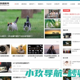 数码摄影网