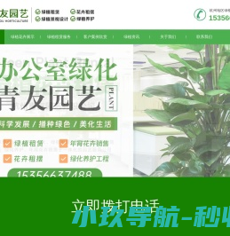 杭州绿植租赁选绿萝