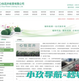 成都绿植租赁