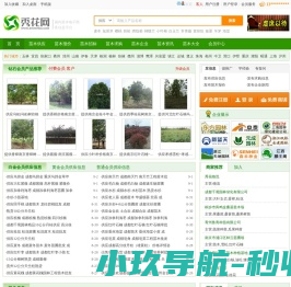 秀花网