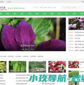 植物百科
