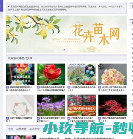 云马平台
