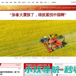 观察者网