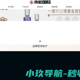 大连来松国际贸易有限公司