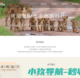 网站首页