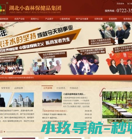 小森林集团