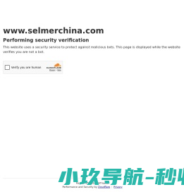 塞尔玛乐器