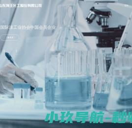 山东海王化工股份有限公司