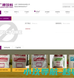 网站截图