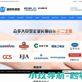 盛恩传感器