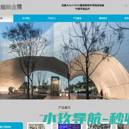进口泡沫铝