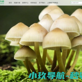 北京国威沃源科技有限公司