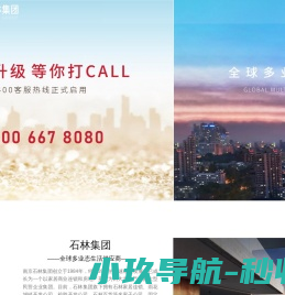 南京石林集团有限公司