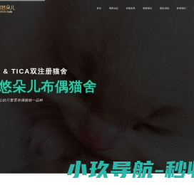 悠悠朵儿布偶猫舍