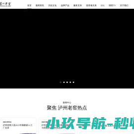 泸州老窖