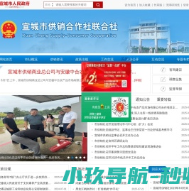 龙盛担保