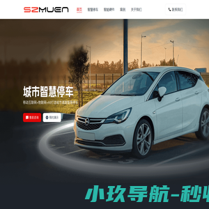 深沐恩智慧停车-停车视频杆-无线地磁停车-路边停车系统