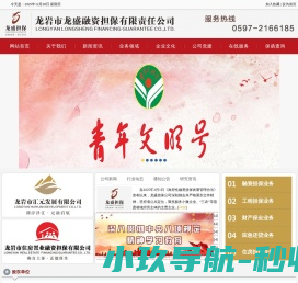 龙盛担保