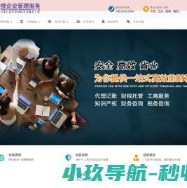 税审