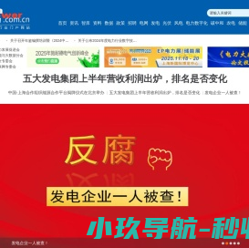 电力网