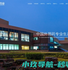 浙江鼎泰药业股份有限公司