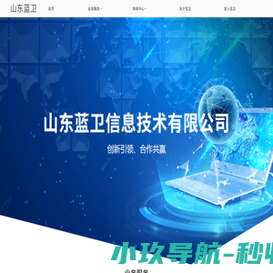 山东蓝卫信息技术有限公司