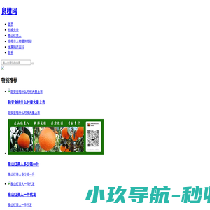 良橙网|良橙佳人柑橘供应链品牌|象山红美人招全国微商代理支持一件代发