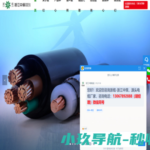 浙江中策南缆实业有限公司