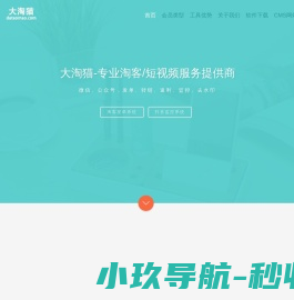 大淘猫