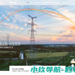重庆三峡电缆(集团)有限公司