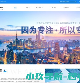 山东气库电子信息科技有限公司