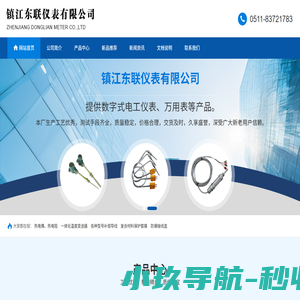 铂铑热电偶|铠装热电偶|-镇江东联仪表有限公司