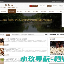 陈皮