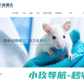 网络营销