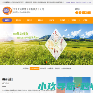 北京大风家禽育种有限责任公司