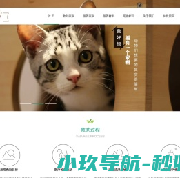 流浪动物之家