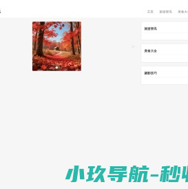 成都宝视科技有限公司
