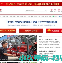 东营网
