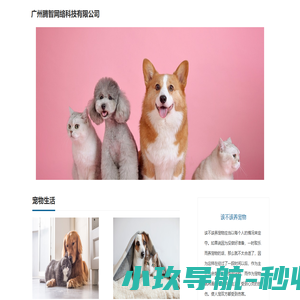 我爱猫狗