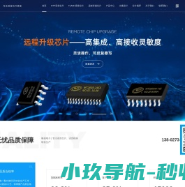 语音ic