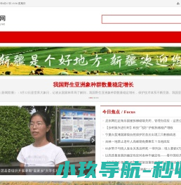 环疆资讯网