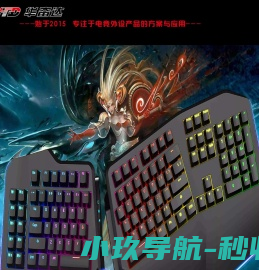华奋达(东莞)科技有限公司