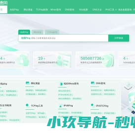测速网
