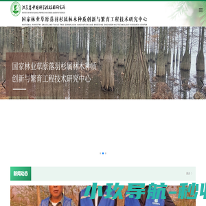 中山杉研究网_国家林业草原落羽杉属林木种质创新与繁育工程技术研究中心