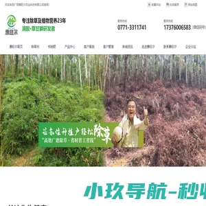 惠旺尔科技 草乙疏除草剂 桉树除草剂20公斤滴酸草甘膦厂家直销 掌控配方草甘烂光