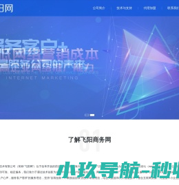 飞阳商务网公司介绍