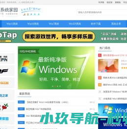 windows11