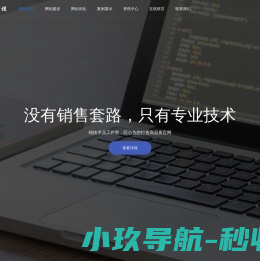 高端网站建设服务