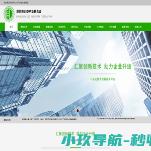 深圳市LED产业联合会